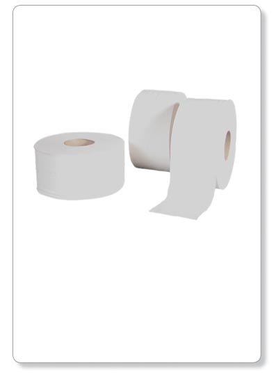 Papier WC Mini Jumbo - cellulose blanc - 12x160m - 2plis