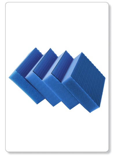 [E03-37] Eponge bleue  HACCP