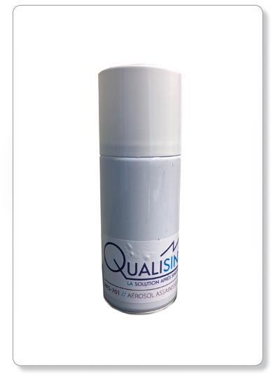 [PAS-701] FOGGER ONE SHOT - aérosol assainisseur - 150ml
